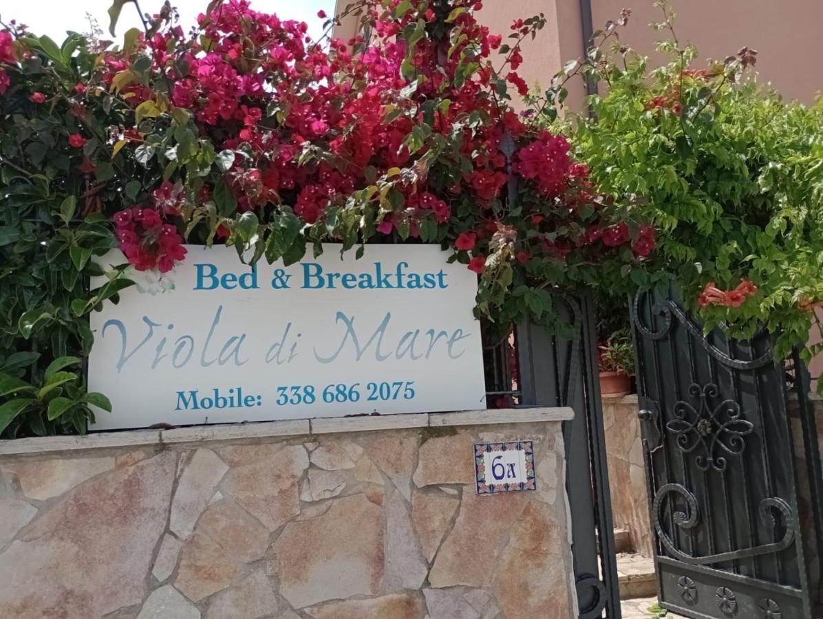 Viola Di Mare Rooms And Parking Термоли Экстерьер фото